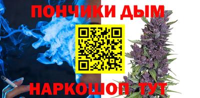 крисы Лесосибирск